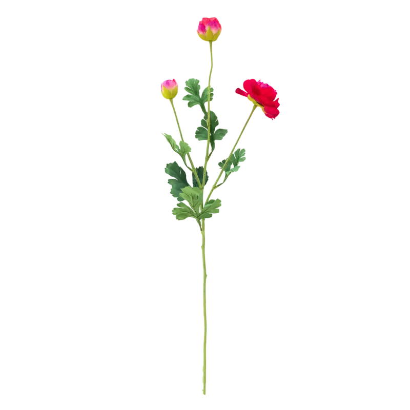 Flower ranunculus red 91cm