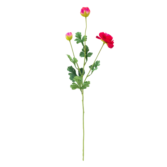 Flower ranunculus red 91cm