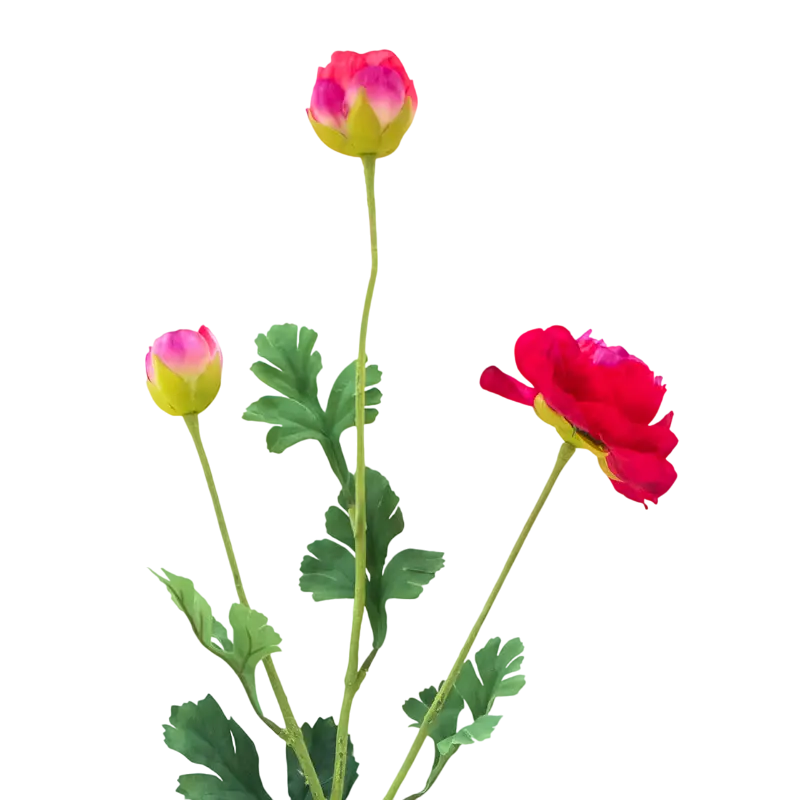 Flower ranunculus red 91cm