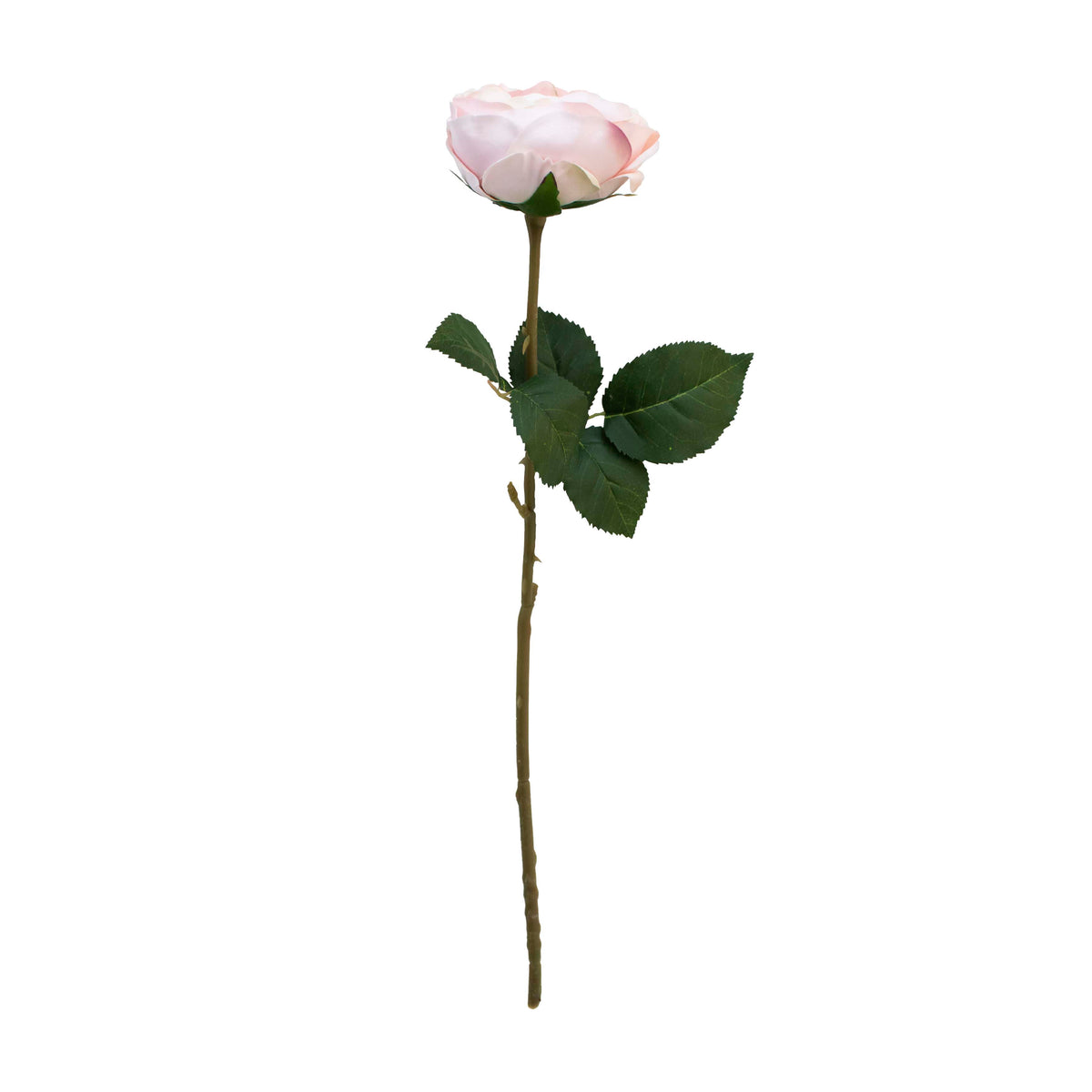 Flower rose light pink 51cm
