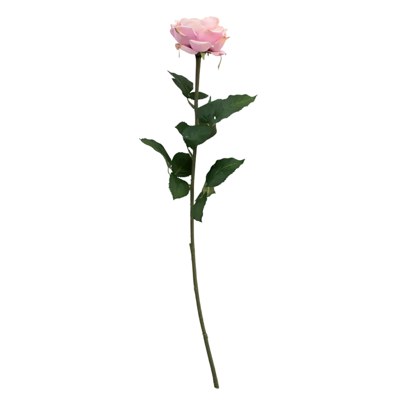 Flower rose soft light pink 70cm