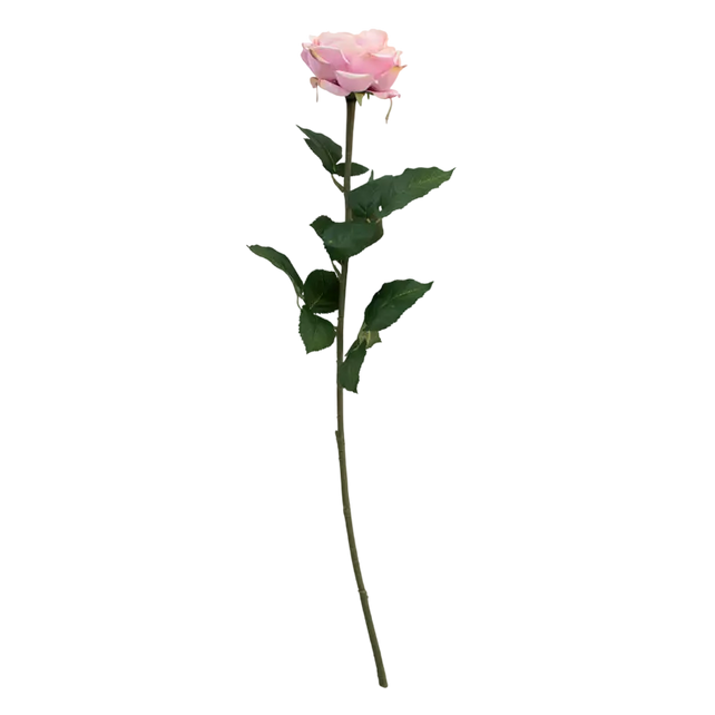 Flower rose soft light pink 70cm