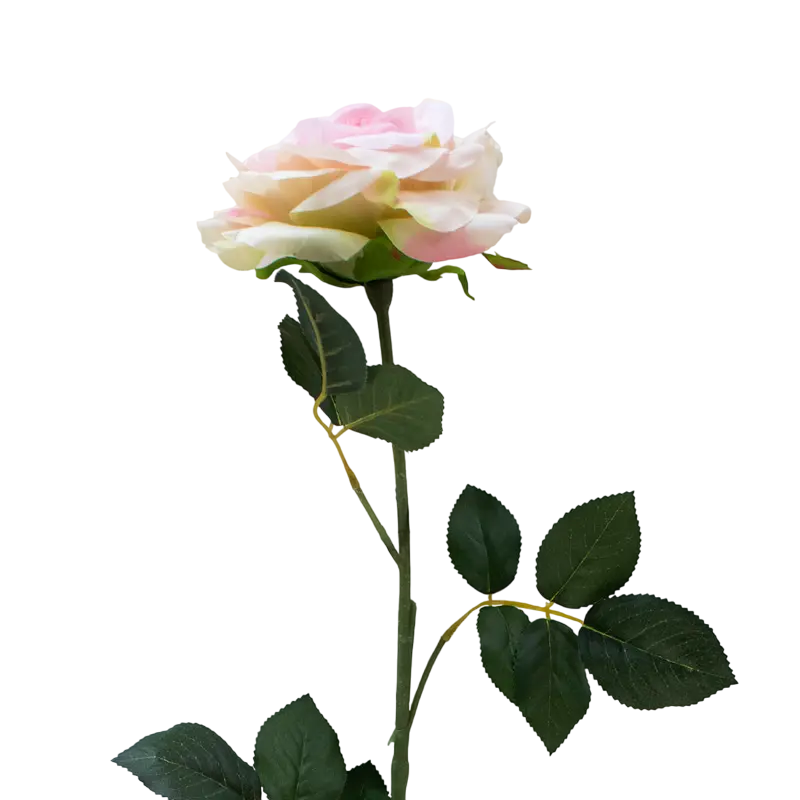 Flower rose light pink 85cm