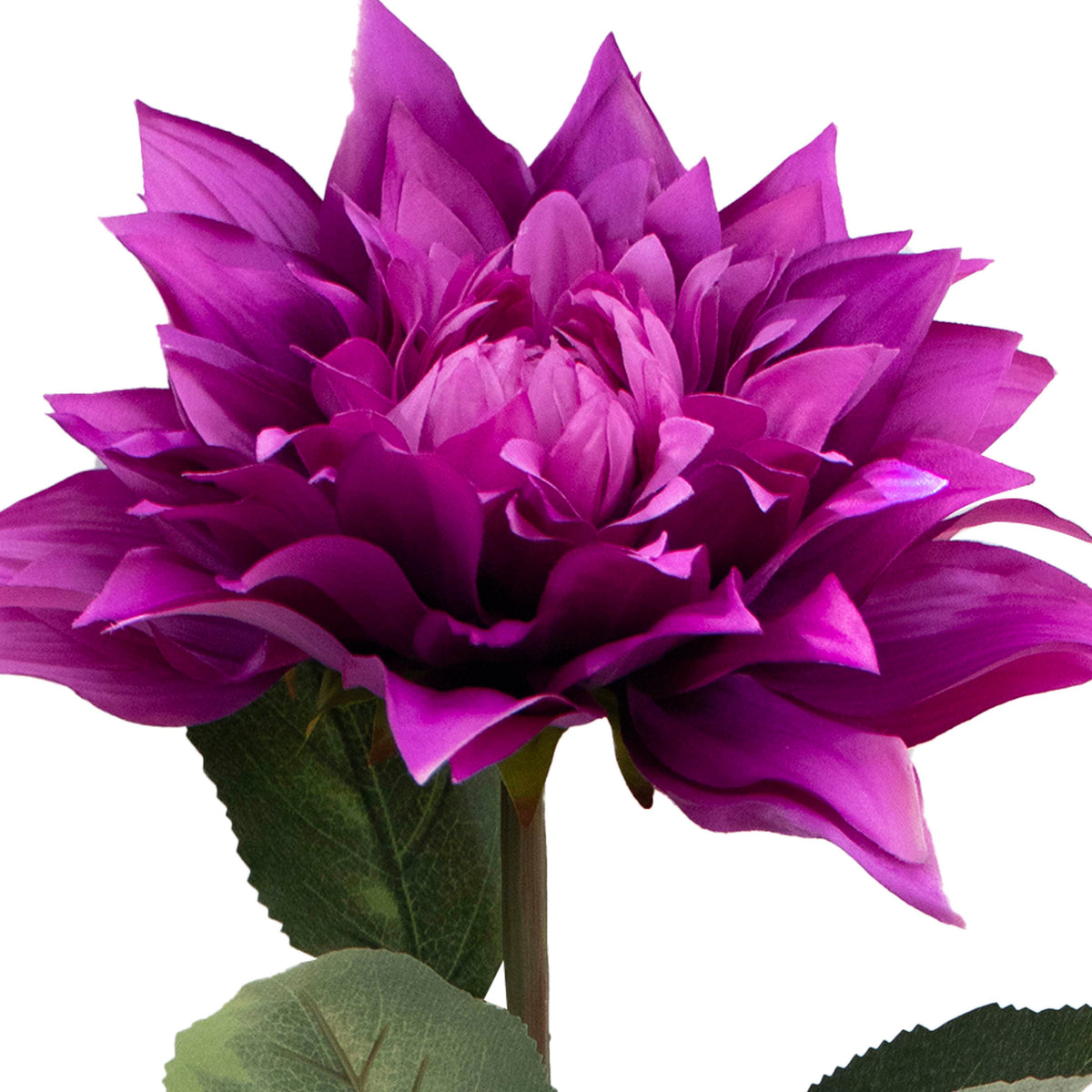 Flower dahlia purple 80cm