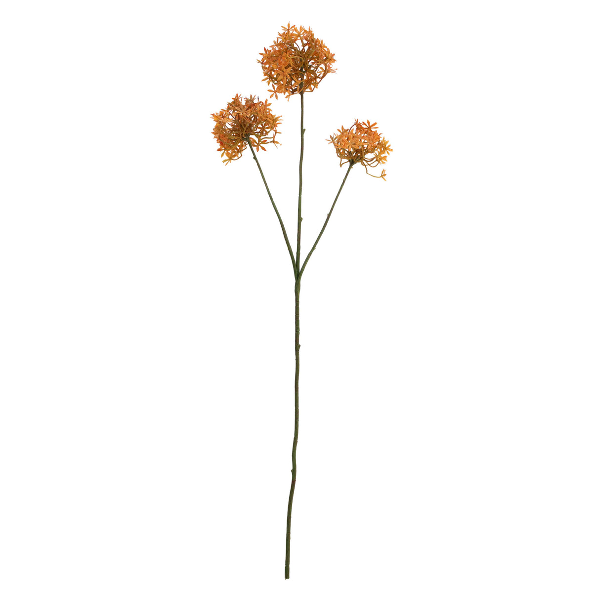 Flower allium orange 77cm