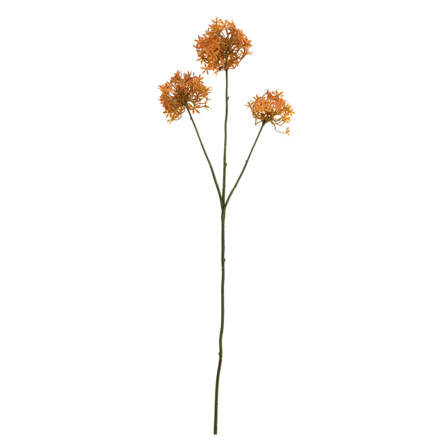 Flower allium orange 77cm