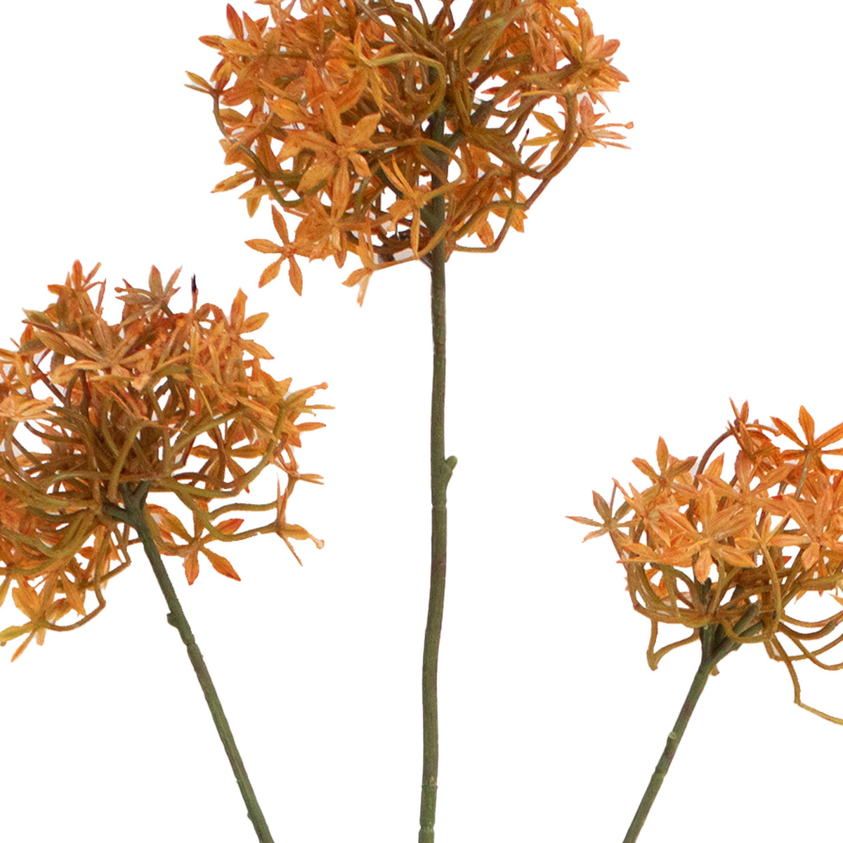Flower allium orange 77cm