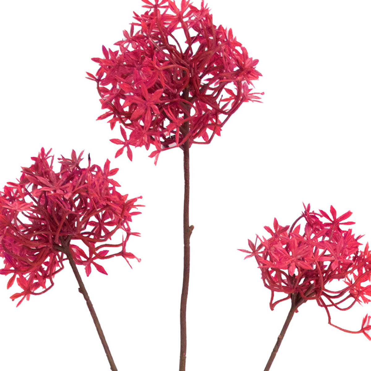 Flower allium fuchsia 77cm