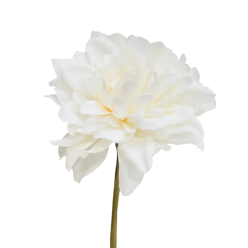 Flower dahlia soft white 25cm
