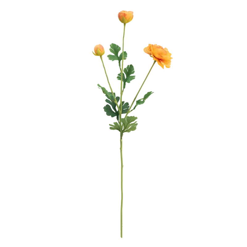 Flower ranuculus orange 91cm