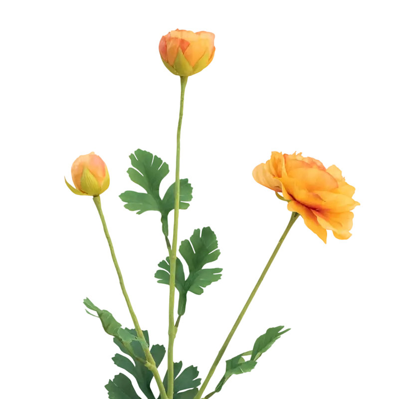 Flower ranuculus orange 91cm