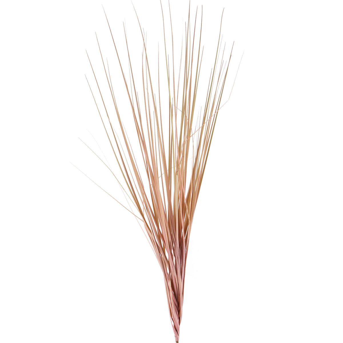 OUTLET Flower reed pink 120cm