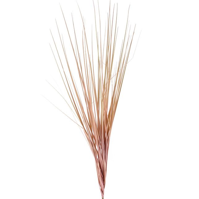 OUTLET Flower reed pink 120cm