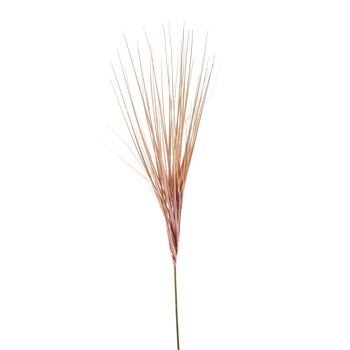 OUTLET Flower reed pink 120cm