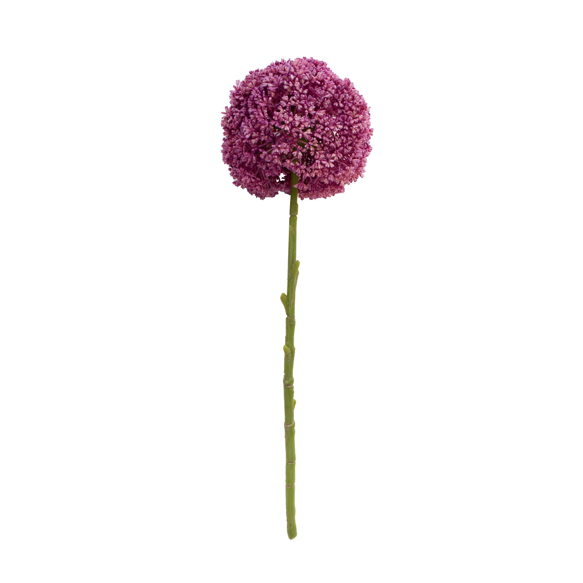 Flower Allium bright purple 44cm
