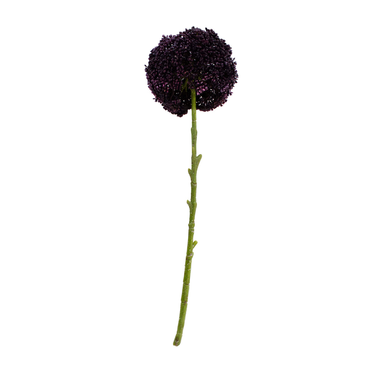 Flower Allium dark purple 44cm