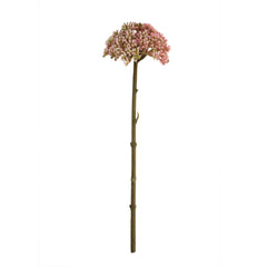 Flower Allium soft pink 29cm