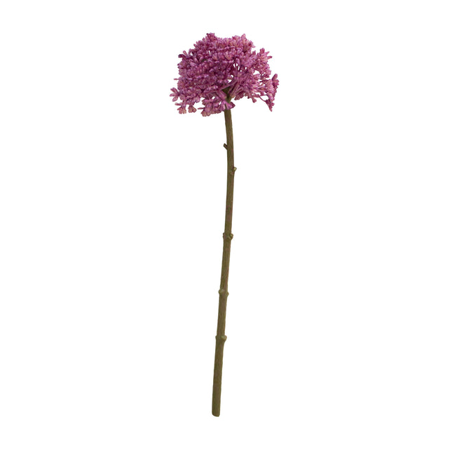 Flower Allium bright purple 29cm