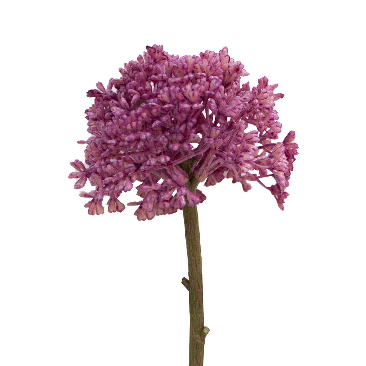 Flower Allium bright purple 29cm