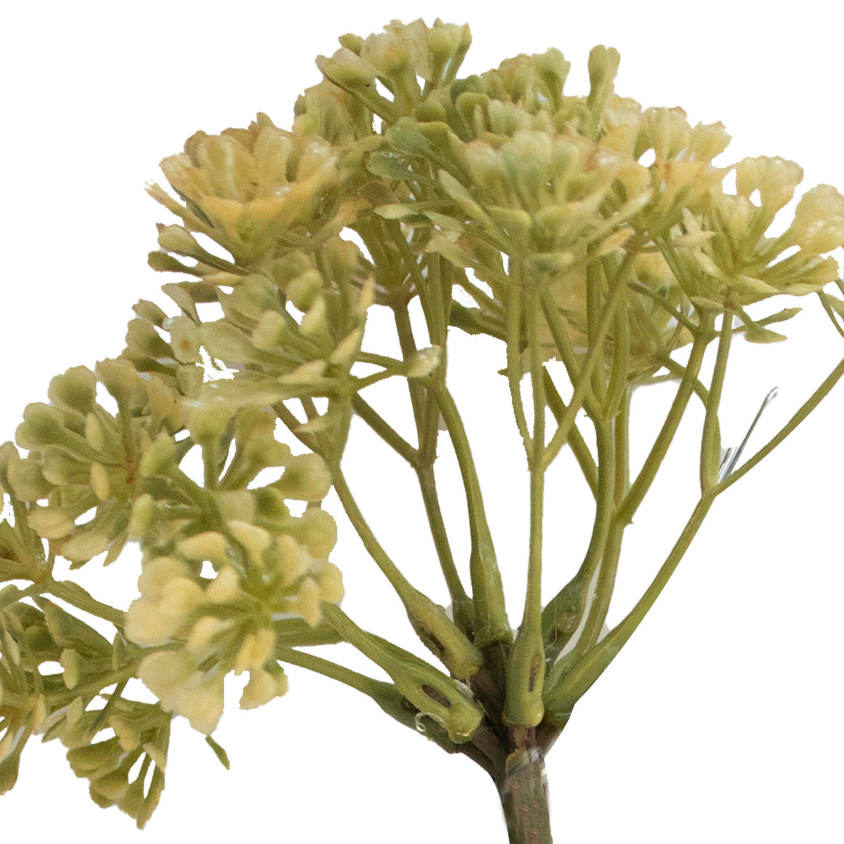 Flower Allium green 33cm
