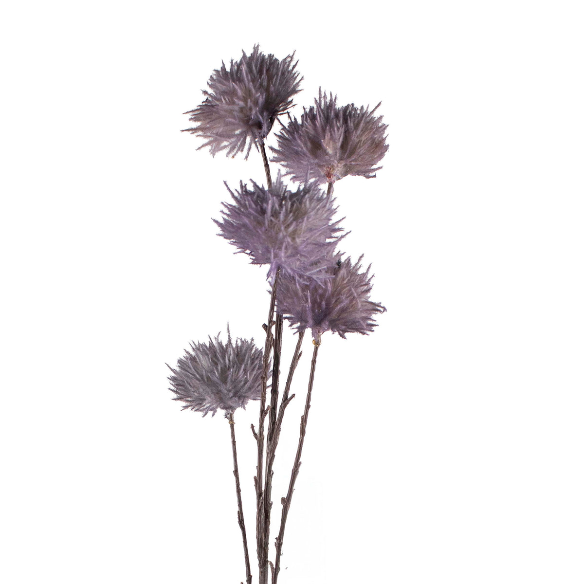 Flower thistle soft purple 92cm