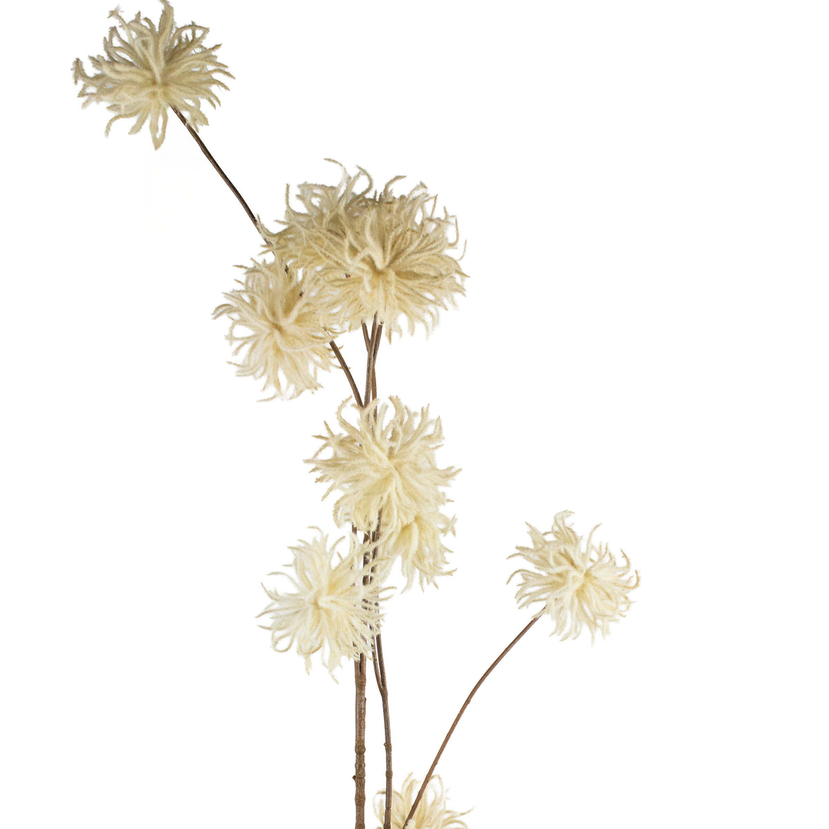 Flower chrysanthemum white 123cm