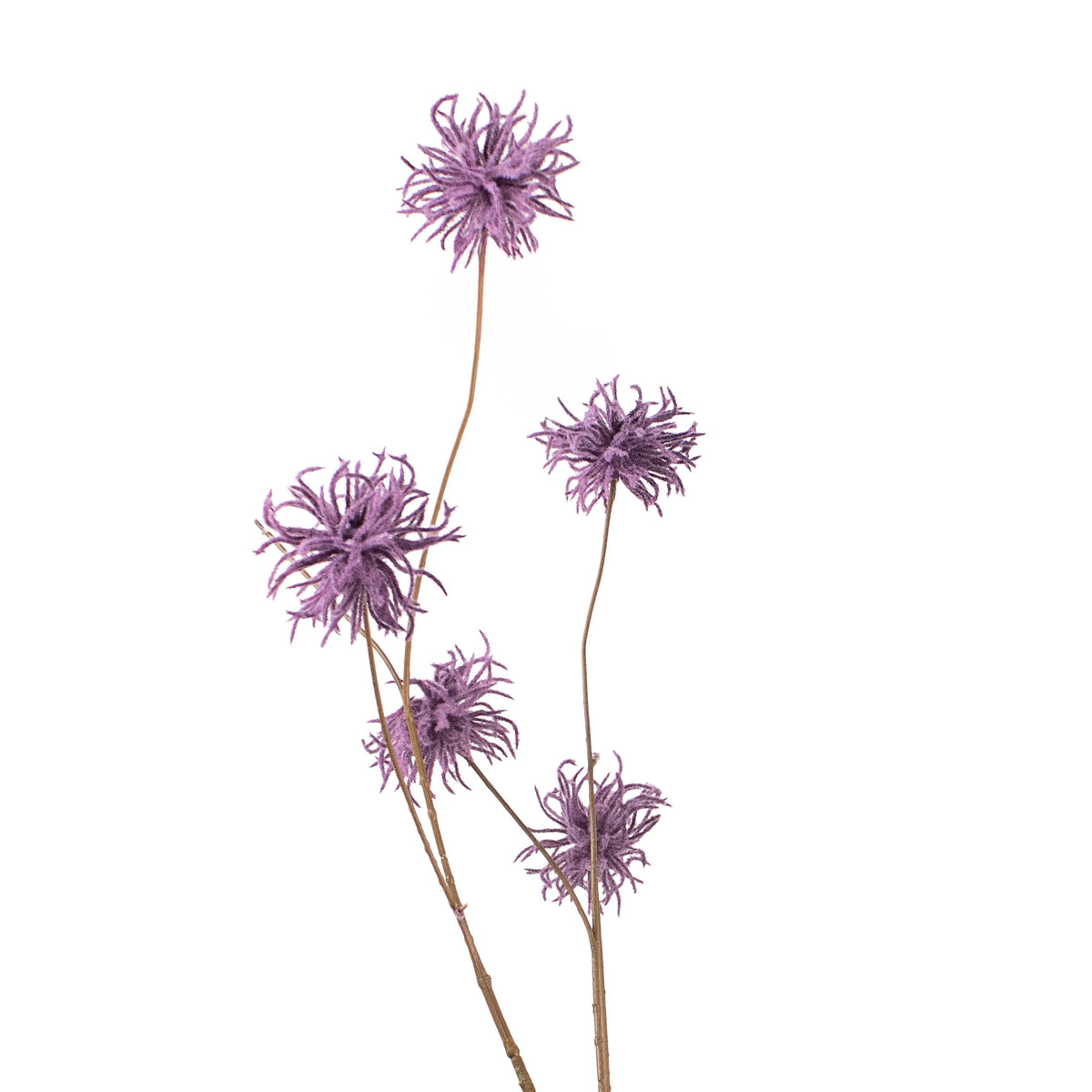 Flower chrysanthemum purple 123cm