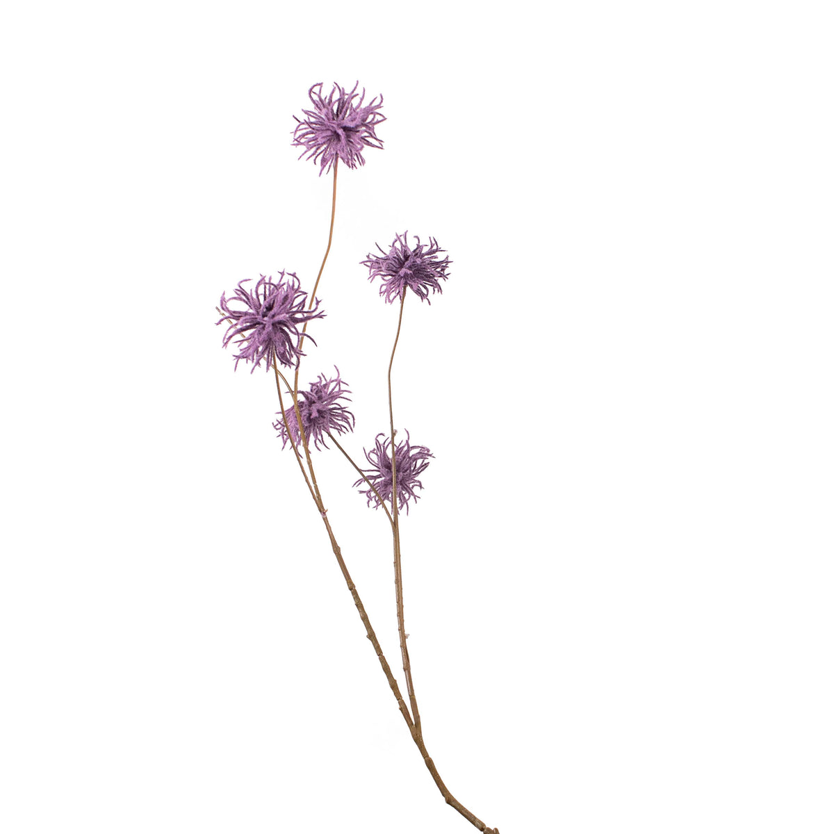 Flower chrysanthemum purple 123cm