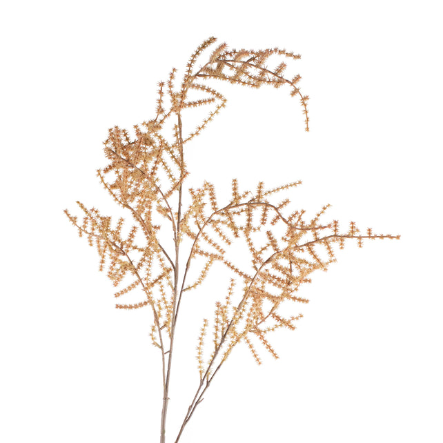 Branch asparagus light brown 132cm