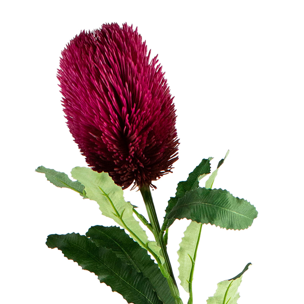 Flower thistle deep pink 65cm