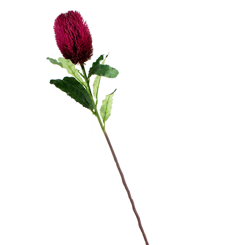 Flower thistle deep pink 65cm