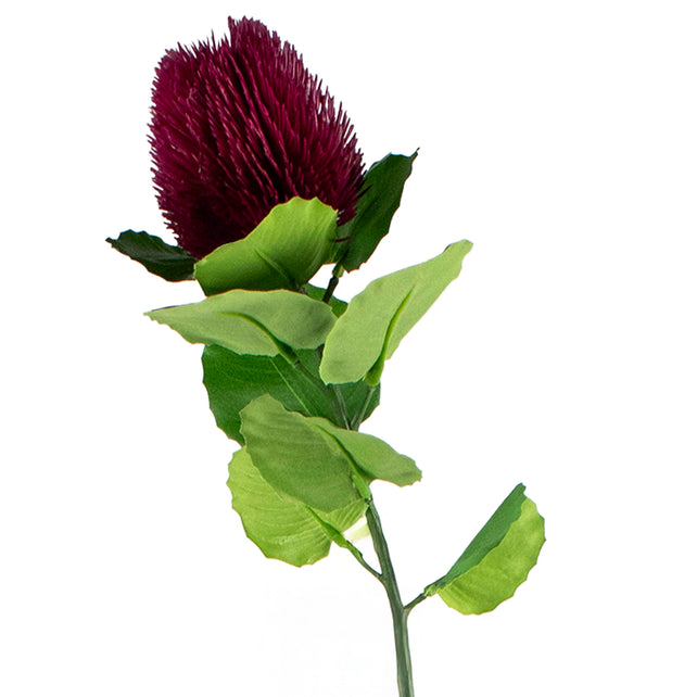 Flower thistle burgundy 58cm