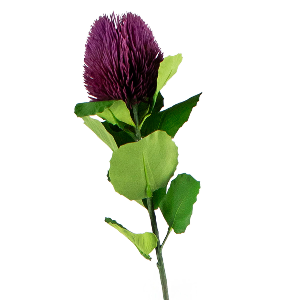 Flower thistle deep pink 58cm