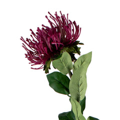 Flower telopea deep purple 72cm