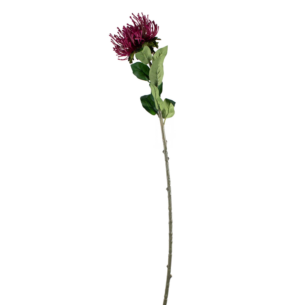 Flower telopea deep purple 72cm