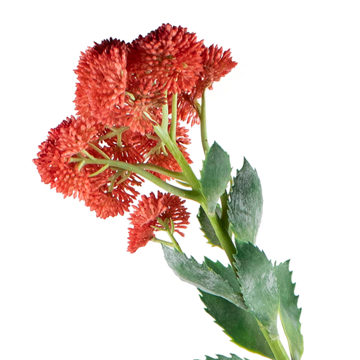 Flower sedum orange 56cm