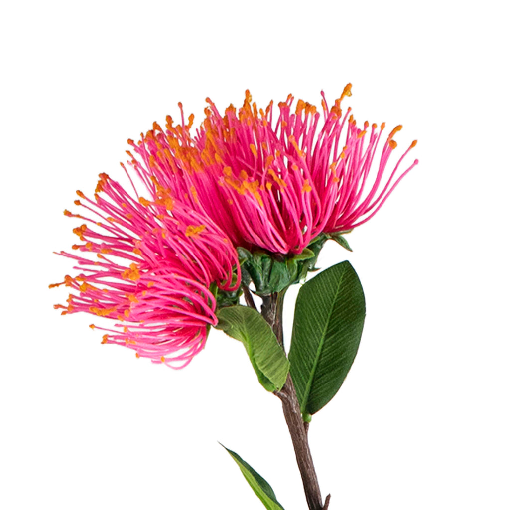 Flower metrosideros pink w/orange 45cm
