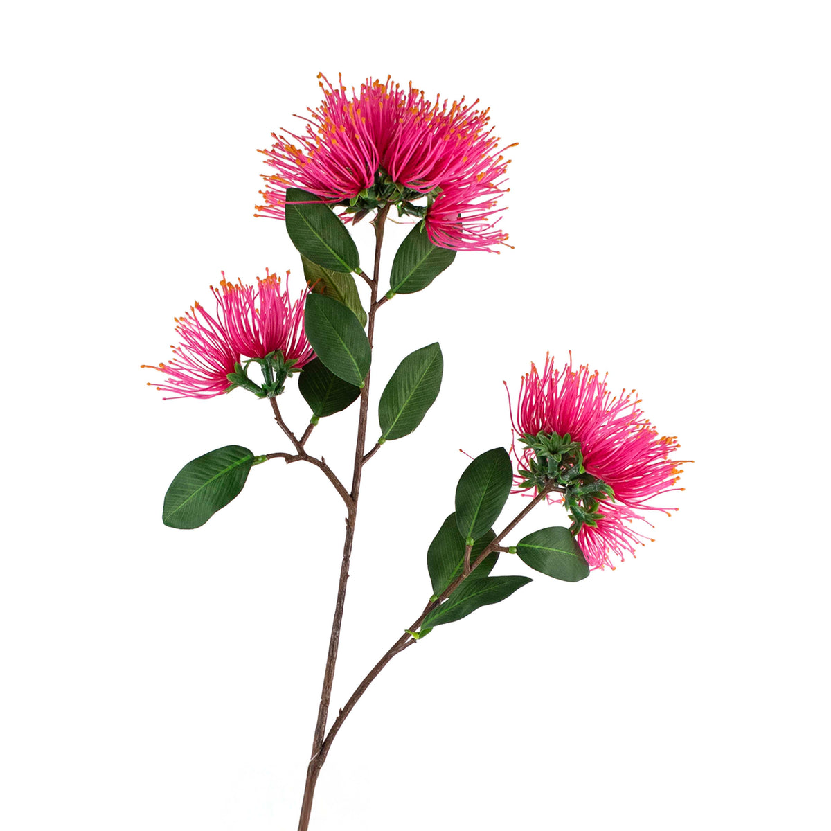 Flower metrosideros pink w/orange 65cm