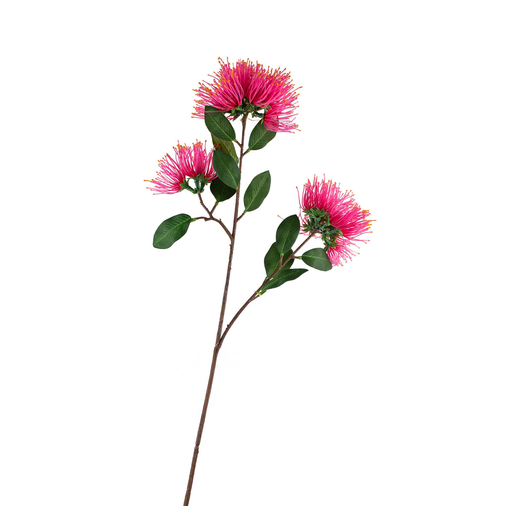 Flower metrosideros pink w/orange 65cm