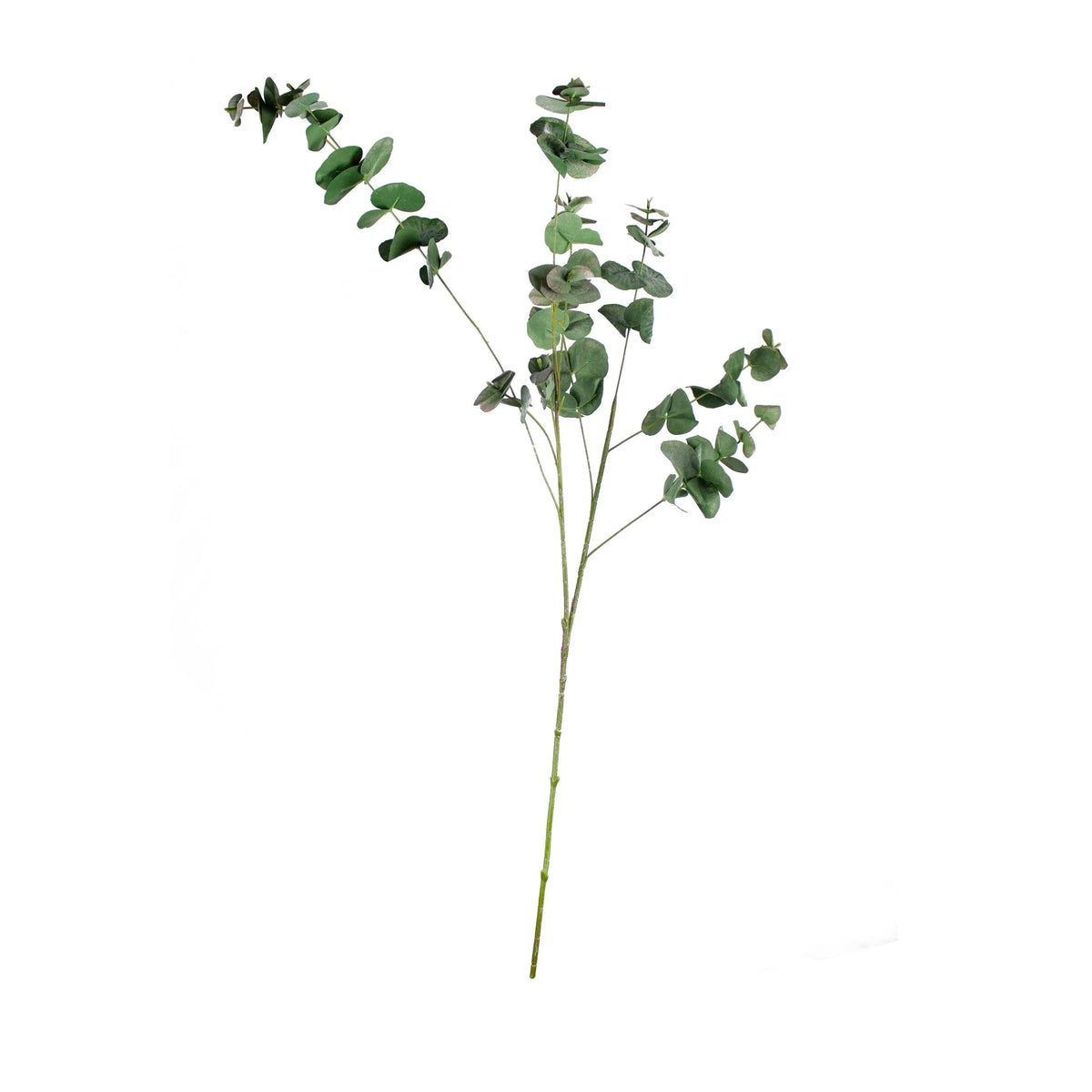 Flower eucalyptus green 98cm