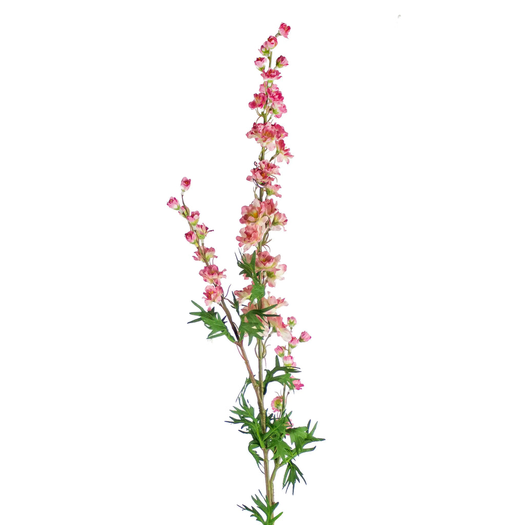 Flower mini delphinium soft pink 85cm