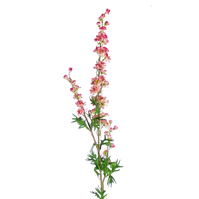 Flower mini delphinium soft pink 85cm