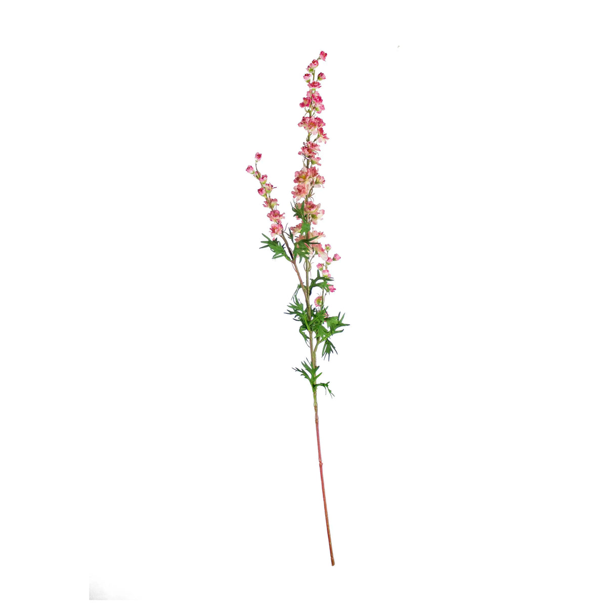 Flower mini delphinium soft pink 85cm