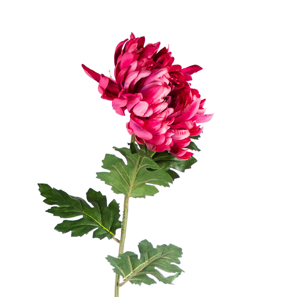 Flower crysanthemum fuchsia 90cm