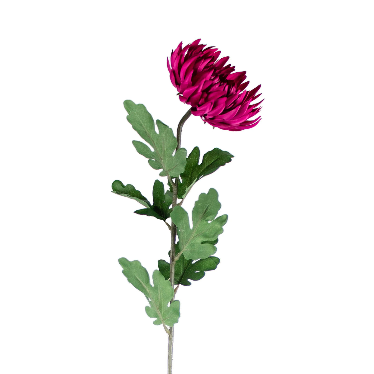 Flower crysanthemum fuchsia 80cm