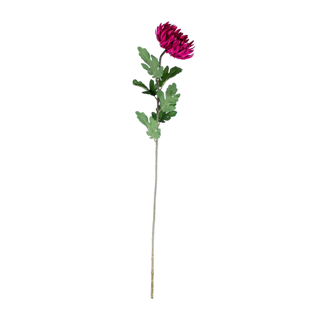 Flower crysanthemum fuchsia 80cm