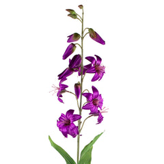 Flower lily purple 118cm