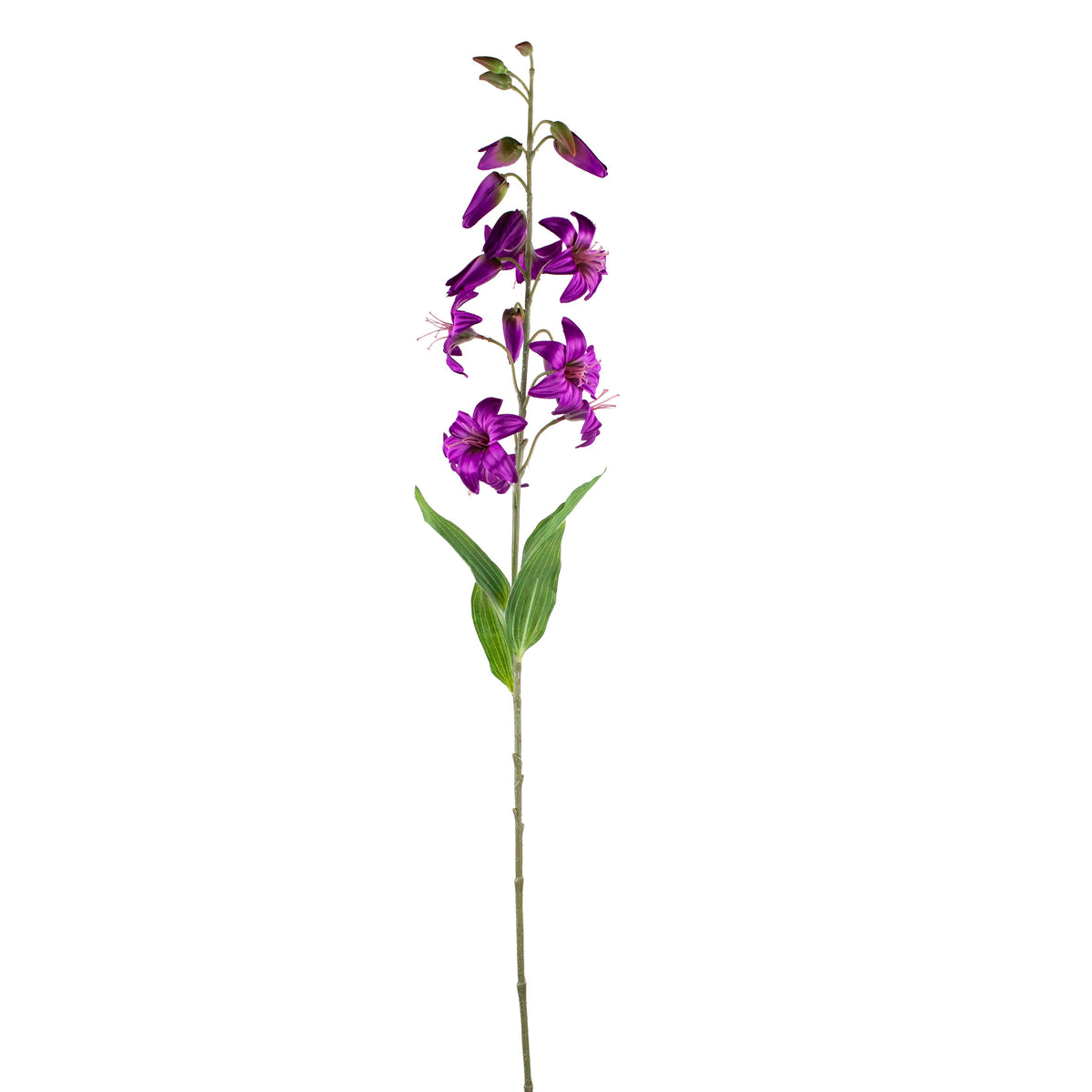 Flower lily purple 118cm