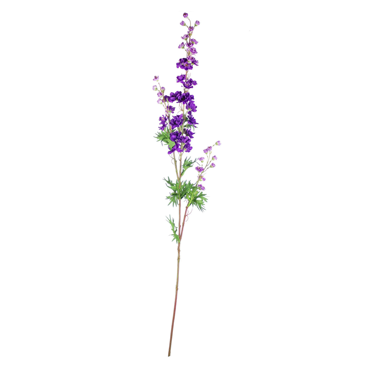 Flower mini delphinium purple 85cm