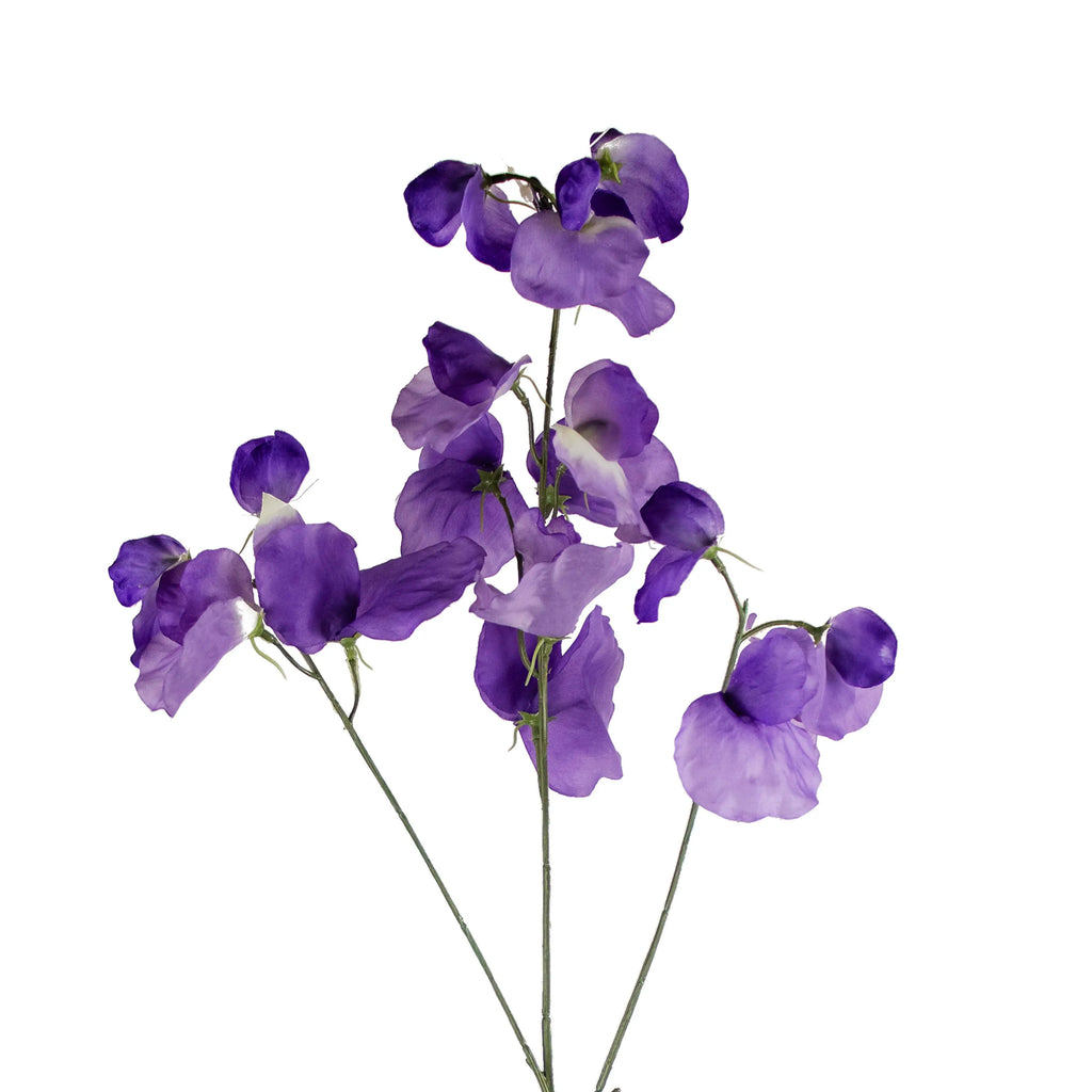 Flower pea blossom purple 74cm